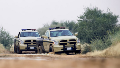 0 12 الأمن البيئي