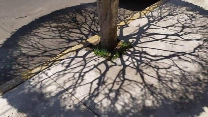 1 196