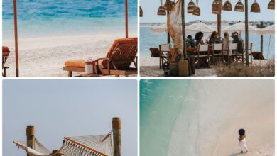 إطلاق كيب موريس: الجزيرة الساحلية الخاصة في الخليج العربي بإدارة برج العرب، أيقونة جميرا 19 1 229