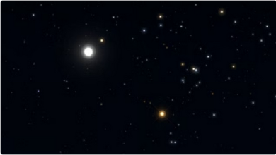 1 263