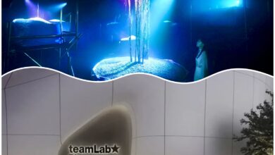 تيم لاب فينومينا أبوظبي" يكشف عن تجربتين جديدتين ضمن مجموعة أعماله الفنية 2 1 311