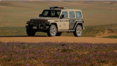 "الأمن البيئي" يضبط مخالفين في محمية الإمام فيصل بن تركي ويصادر أسلحة وذخائر 5 11 113