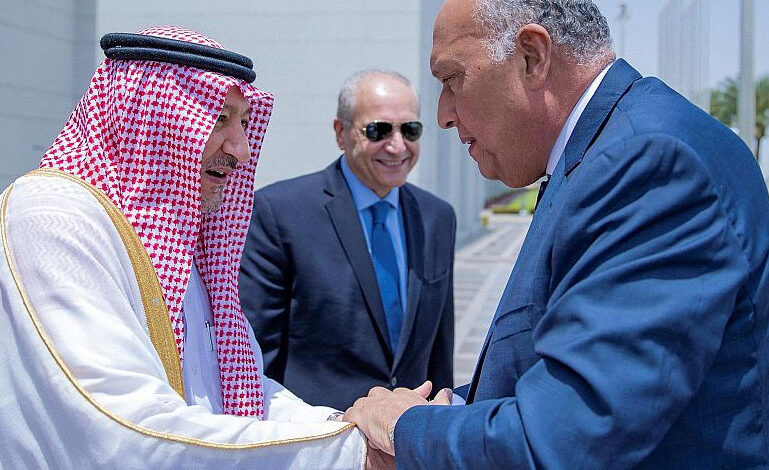 نائب وزير الخارجية يستقبل وزير الخارجية المصري 1 2 907