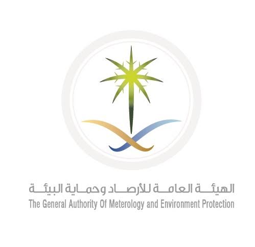 «الشورى» يصوت على إعادة استقدام الخادمات الإثيوبيات 1