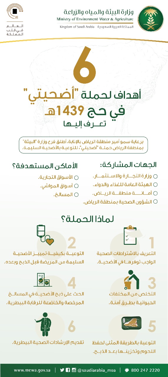 c20ad4d76fe97759aa27a0c99bff6710