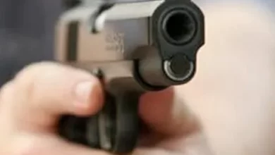 3 19
