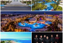 3a875097 4107 49b4 9c7f 8b6ceb91974b 12