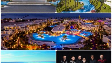 فنادق ريكسوس مصر تحتفل بقدوم رأس السنة الجديدة 2026 بفعاليات 20 3a875097 4107 49b4 9c7f 8b6ceb91974b 12