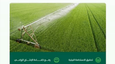 "البيئة": إيصال الكهرباء لـ 213 مزرعة ضمن برنامج إزاحة الوقود السائل أسهم في تخفيض تكلفة الطاقة بنسبة 60% 6 5555 67