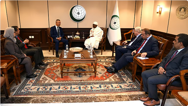 بيان مشترك من "التعاون الإسلامي" و"الجامعة العربية" و"الاتحاد الأفريقي" حول تطورات فلسطين المحتلة 1 66 122