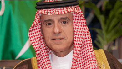 وزير الدولة للشؤون الخارجية يلتقي نائبة رئيس لجنة الشؤون الخارجية في البرلمان الأوروبي 3 777 116