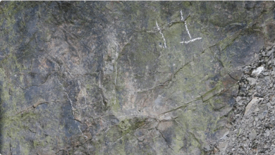 كشف علمي جديد في الصين: العثور على أكثر من 20 أثراً لأقدام ديناصورات عمرها 200 مليون سنة 8 777 118