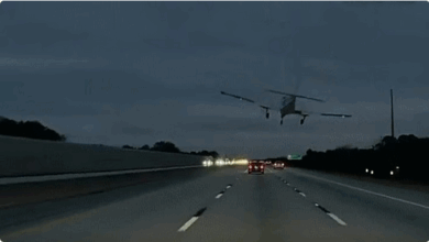 طائرة تهبط اضطراريًا وتصطدم بسيارة على طريق سريع في فلوريدا 7 777 119