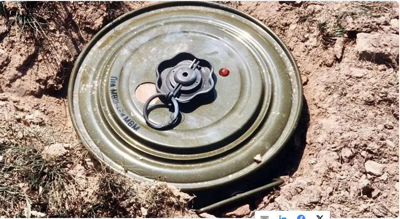 مشروع “مسام” يواصل تطهير الأراضي اليمنية وينتزع 924 لغمًا وذخيرة 1 8 396