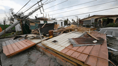 جامايكا.. ارتفاع حصيلة الإعصار ميليسا إلى 28 قتيلًا 9 88 133