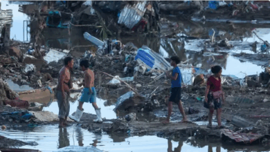 الخسائر الفادحة التي خلفها إعصار "كالمايجي" في فيتنام تتجاوز الـ 296 مليون دولار أمريكي 2 88 135