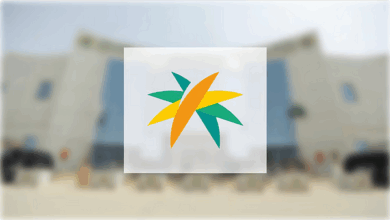 توطين 12 مهنة رياضية بنسبة 15% في الصالات والمراكز الخاصة 6 9 428