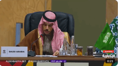 وزير الخارجية في G20 : ندعو لتنسيق دولي لمواجهة التحديات الاقتصادية 18 9999 116