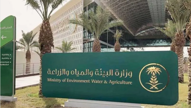 Screenshot 2022 12 28 at 17 19 01 البيئة تبدأ صرف تعويضات 2385 مزارعًا توقفوا عن زراعة الأعلاف الخضراء أو قلصوا مساحتها صحيفة المناطق السعودية