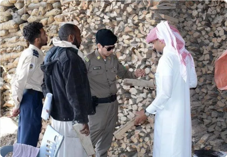 Screenshot 2023 01 25 at 17 18 07 ضبط 10 مخالفين لنظام البيئة في عدد من مناطق المملكة بحوزتهم حطب محلي معروض للبيع صحيفة المناطق السعودية