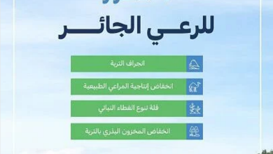Screenshot 2023 02 04 at 16 21 03 البيئة أربعة أضرار رئيسة للرعي الجائر على أراضي المملكة صحيفة المناطق السعودية