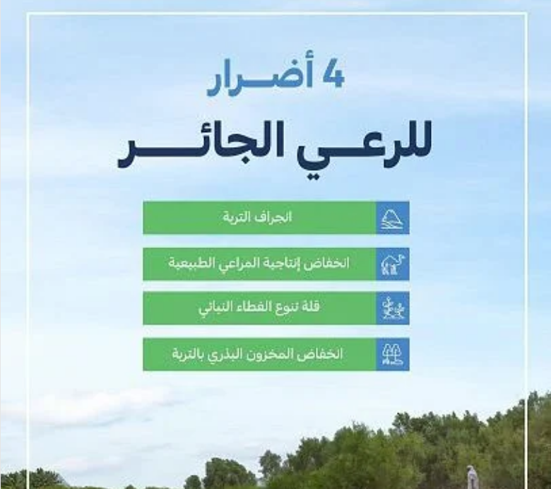 Screenshot 2023 02 04 at 16 21 03 البيئة أربعة أضرار رئيسة للرعي الجائر على أراضي المملكة صحيفة المناطق السعودية