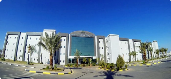 Screenshot 2023 03 20 at 10 42 28 إنقاذ حياة حامل تعرضت لجلطة بالقلب صحيفة المناطق السعودية