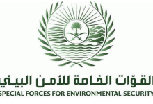 Screenshot 2023 04 18 at 22 47 31 الأمن البيئي يضبط 3 مخالفين لنظام البيئة لنقلهم وبيعهم وتخزينهم حطبًا وفحمًا محليين صحيفة صراحة الالكترونية