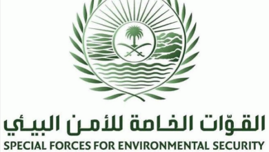 Screenshot 2023 04 18 at 22 47 31 الأمن البيئي يضبط 3 مخالفين لنظام البيئة لنقلهم وبيعهم وتخزينهم حطبًا وفحمًا محليين صحيفة صراحة الالكترونية