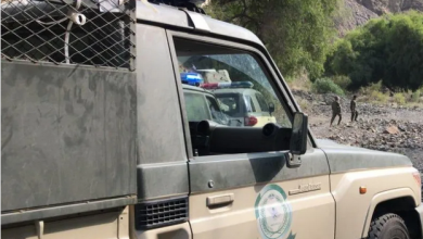 Screenshot 2023 09 30 at 19 21 02 دوريات الأفواج الأمنية بمنطقة جازان تقبض على شخص لترويجه نبات القات المخدر صحيفة المناطق السعودية