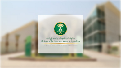 Screenshot 2023 11 11 at 16 33 00 بيئة مكة مزاد علني لبيع 345 رأس ماشية سائبة. الثلاثاء