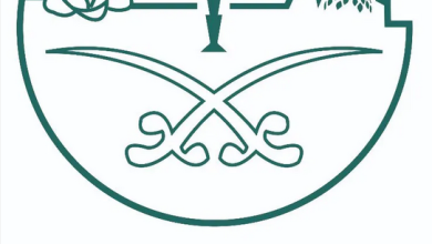 Screenshot 2023 12 19 at 16 05 48 أمانة الطائف تكثّف أعمال النظافة والإصحاح البيئي في نطاق 11 بلدية فرعية بالمحافظة صحيفة المناطق السعودية