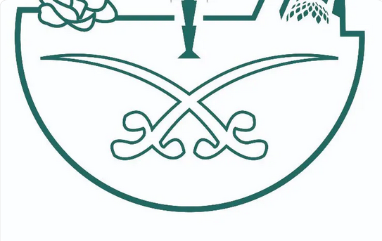 Screenshot 2023 12 19 at 16 05 48 أمانة الطائف تكثّف أعمال النظافة والإصحاح البيئي في نطاق 11 بلدية فرعية بالمحافظة صحيفة المناطق السعودية