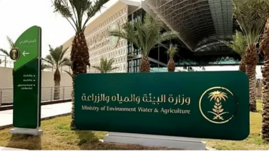 Screenshot 2023 12 19 at 21 11 54 البيئة السماح بزراعة القمح والأعلاف الموسمية يسهم في استدامة الموارد الطبيعية