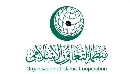 Screenshot 2023 12 23 at 16 21 23 منظمة التعاون الإسلامي ترحب بقرار مجلس الأمن الدولي للسماح فورًا بإيصال المساعدات ال