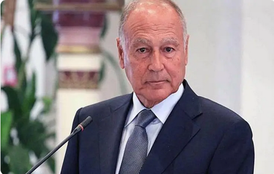 Screenshot 2023 12 23 at 16 27 00 أبوالغيط قرار مجلس الأمن الداعى لهدنة إنسانية بقطاع غزة جاء متأخرًا صحيفة المناطق السعودية