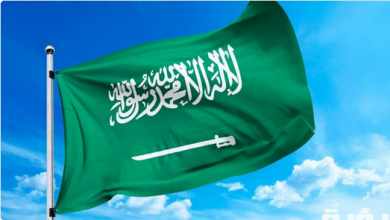Screenshot 2024 05 08 at 19 13 13 المملكة تعلن انضمام 3 دول جديدة يمكن لمواطنيها الحصول على تأشيرة الزيارة إلكترونيًا