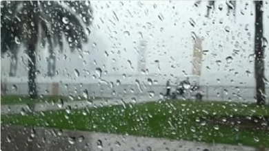 Screenshot 2025 02 19 at 22 53 49 الدفاع المدني يحذر من الحالة المناخية في الشرقية والحدود الشمالية