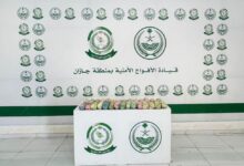 WhatsApp Image 2025 11 10 at 6.10.29 PM