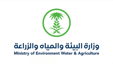 البيئة