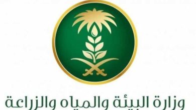 البيئه