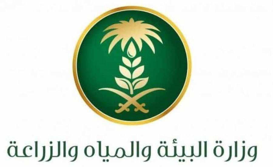 البيئه
