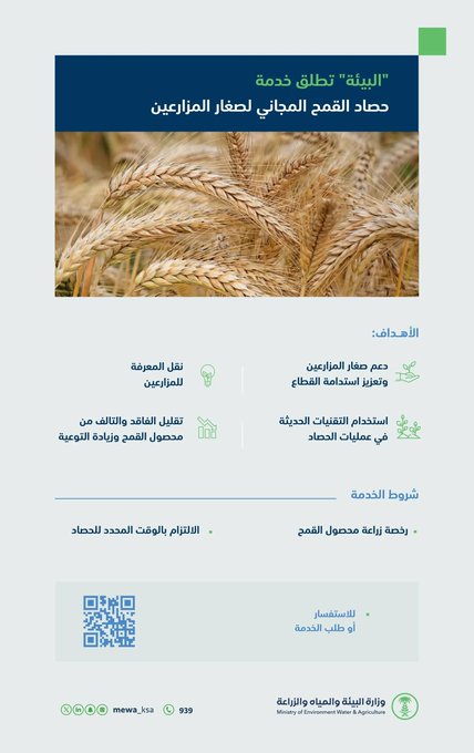 الهلال 11 11