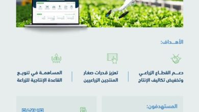 الهلال 11 20