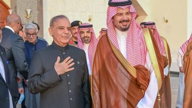 الهلال 11 23
