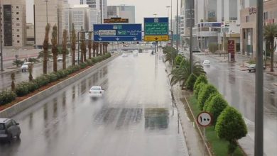 الهلال 11 24