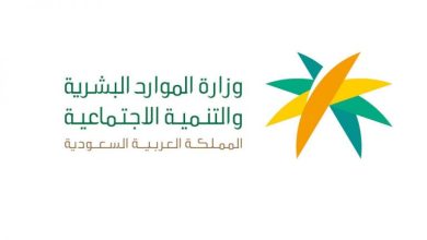 الهلال 11 29
