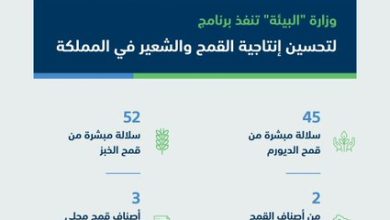 الهلال 11 34