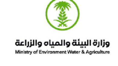 الهلال 11