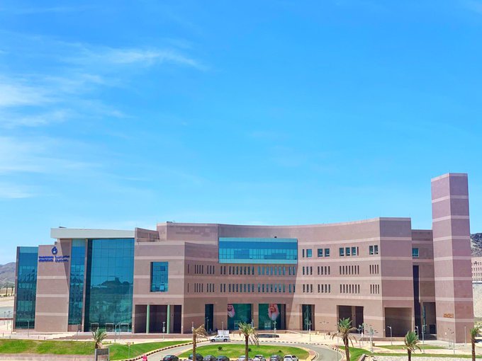 الهلال 11 47